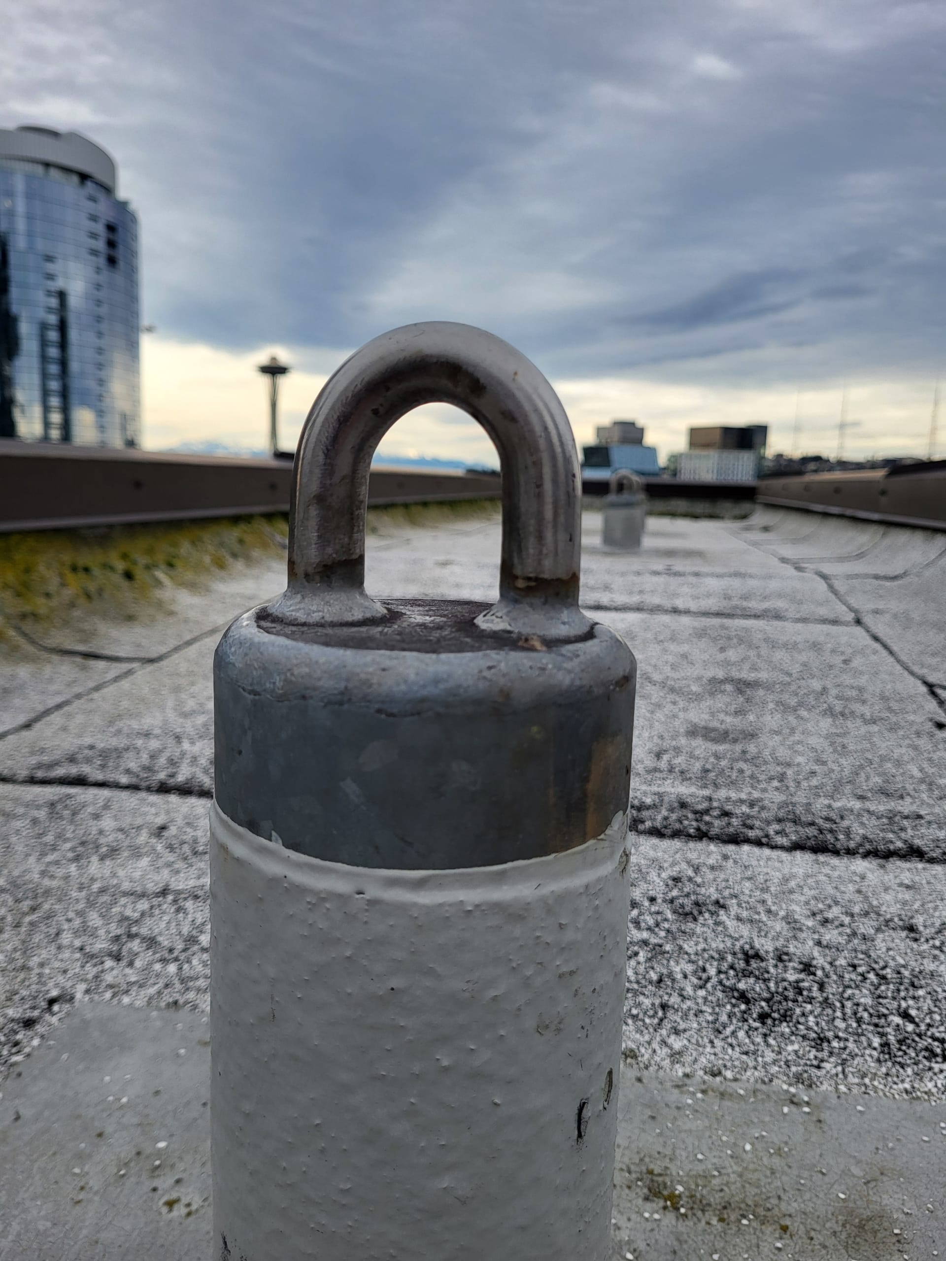 Roof anchor with skyline