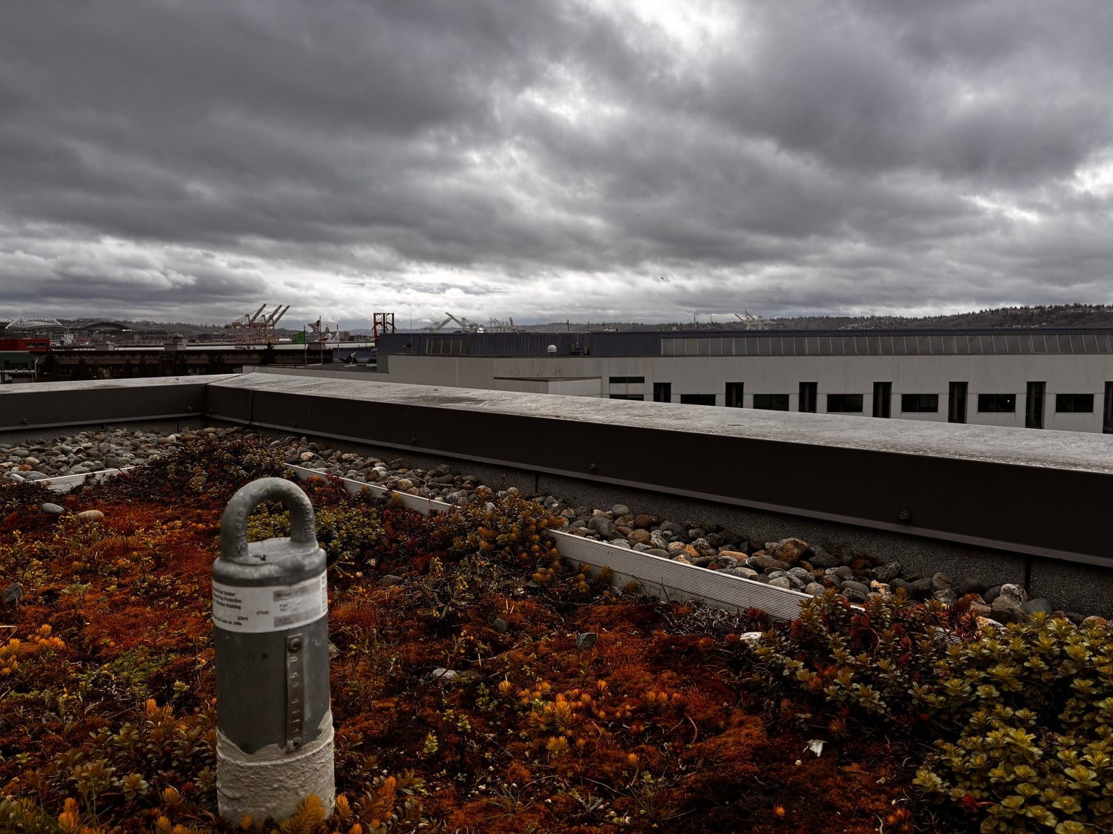 Roof anchor with Seattle skyline